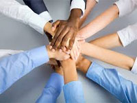 team members